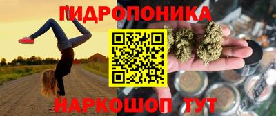 индика Славгород