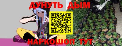 индика Славгород