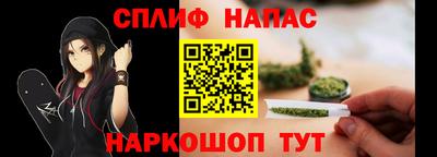 индика Славгород
