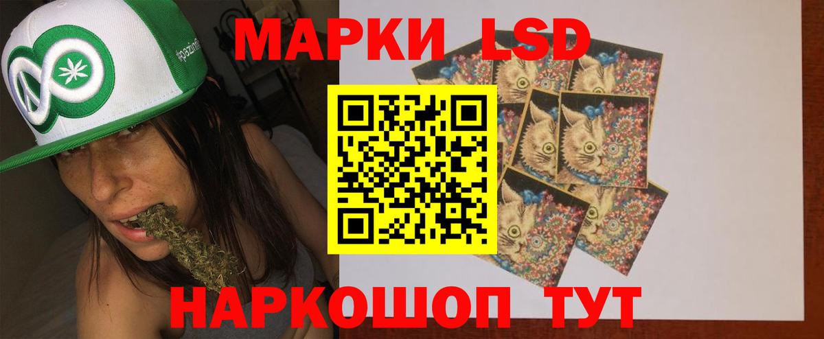 Новокубанск  Лсд 25 экстази ecstasy  Лсд 25 экстази кислота  Вход с VPN 