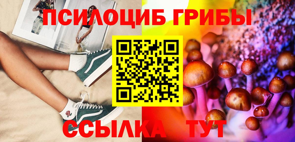 Галлюциногенные грибы GOLDEN TEACHER Новокубанск