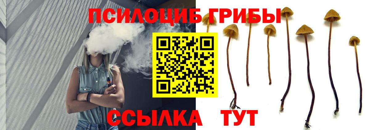 Галлюциногенные грибы мухоморы  Вход с VPN  Новокубанск 